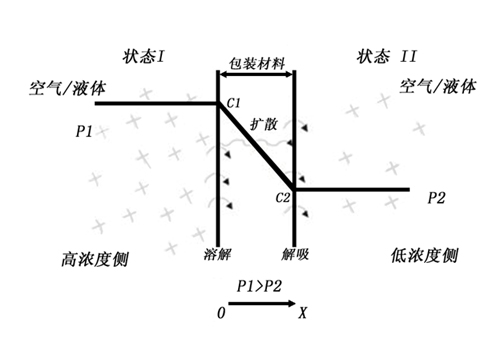 方便面图1渗透过程.jpg